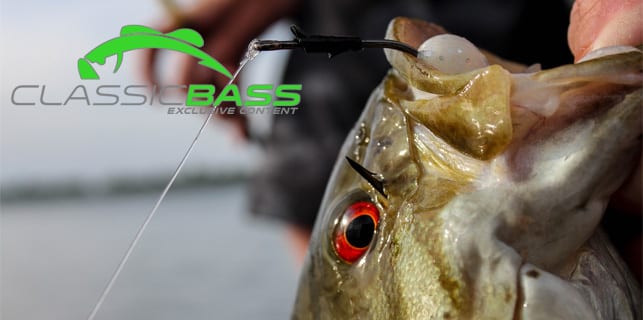 Terminal Tackle Must Haves - Classicbass